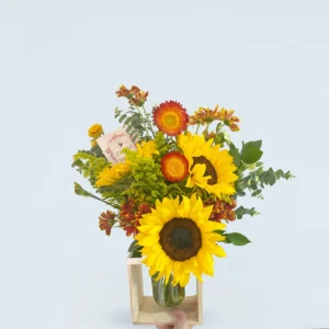 Marquito Girasol