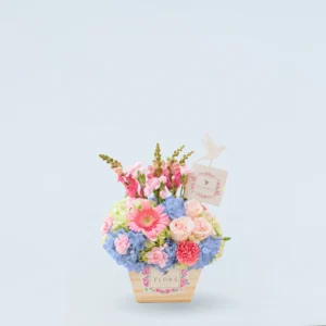 Guacal Hortensia