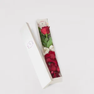 Flora Box Solitario Rosa