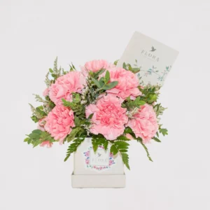Mini Box Claveles
