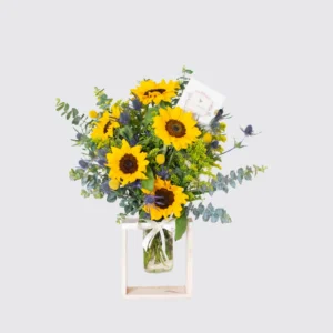 Marquito Girasol
